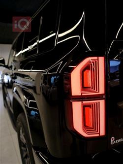 بي واي دي ليوبارد 5